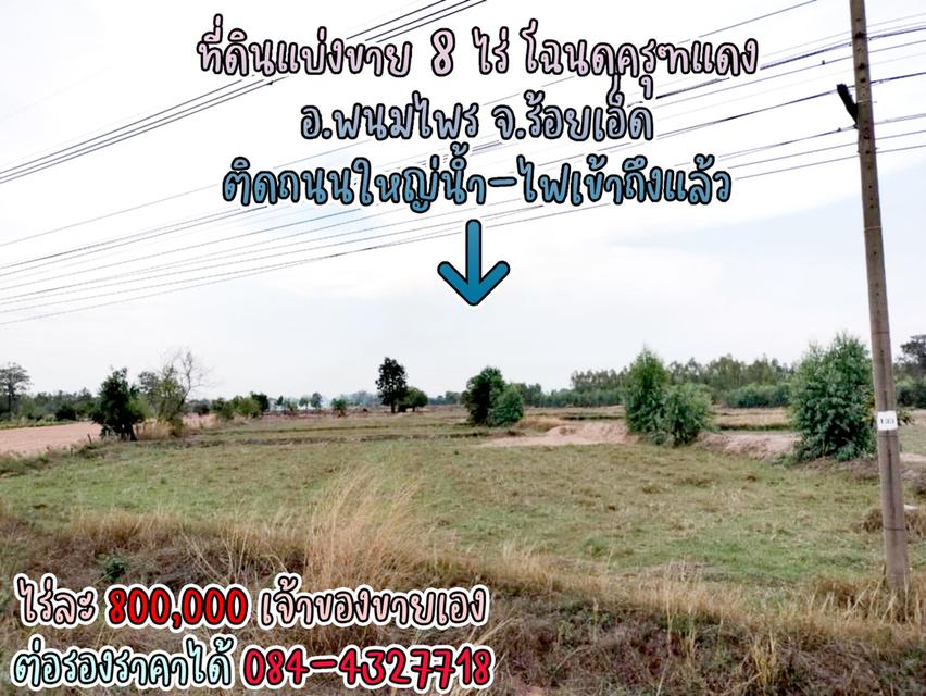 ที่ดินแบ่งขาย 8 ไร่ ราคาไร่ละ 800,000 พร้อมโฉนดครุฑแดง น้ำไฟผ่าน ติดถนนใหญ่ จ.ร้อยเอ็ด เจ้าของขายเอง ราคาต่อรองราคาได้ สนใจติดต่อ 084-4327718