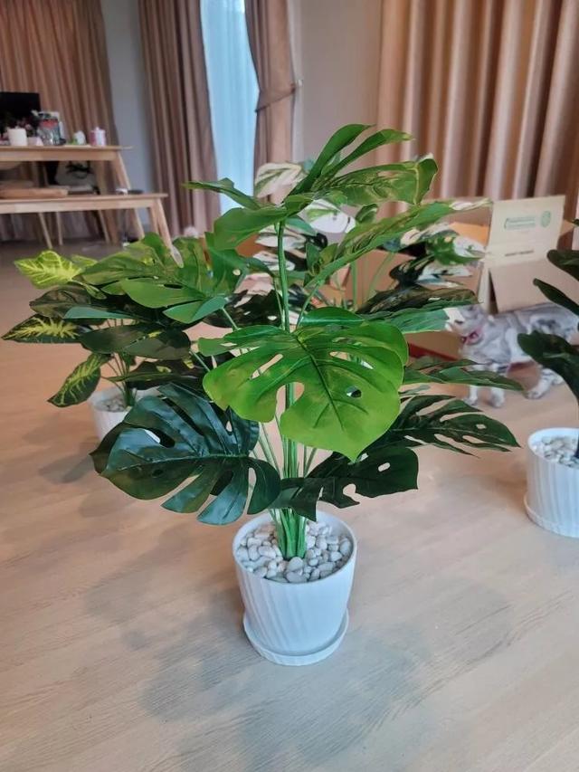Monstera ต้นไม้ปลอม